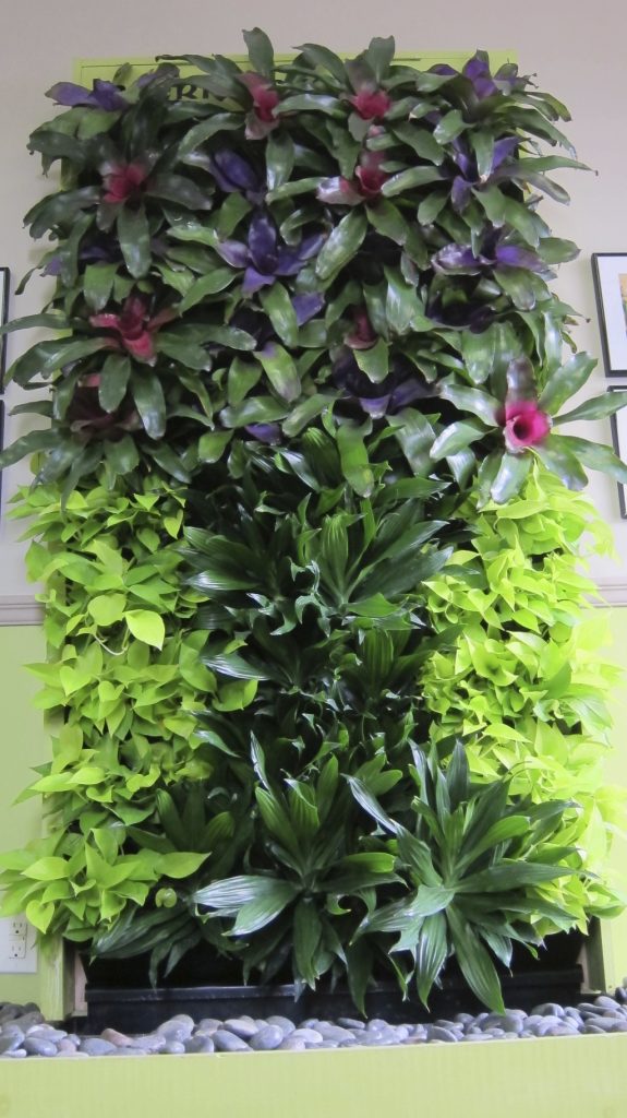 Interior Plants Interiorscapes, Inc